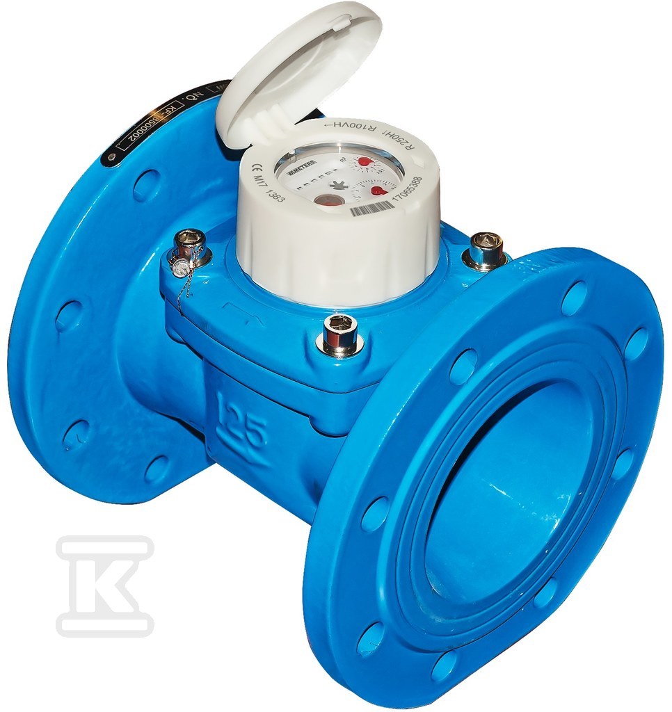 Wodomierz typu WDE-K50, L=250, WDE-K50 4" AF Q3-160 m3/h DN100 R100/R100, Tmax:30°C