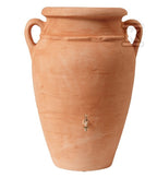 CLJ428