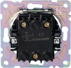 CNZ801
