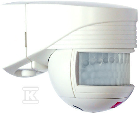 CPE491