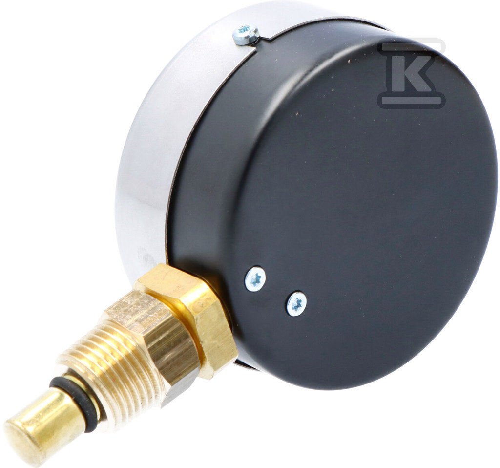Termomanometr WP80R R1/2 0,4 MPa/120 ST.C