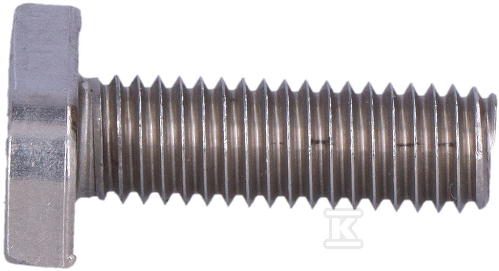 Śruba SMFM8x25E A2