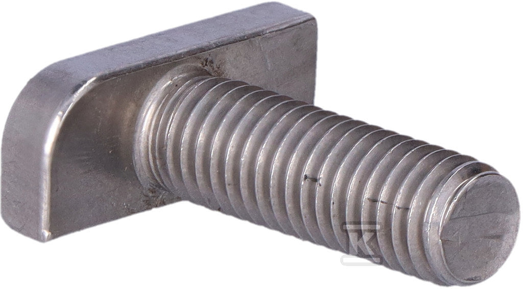 Śruba SMFM8x25E A2