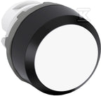 HDM481