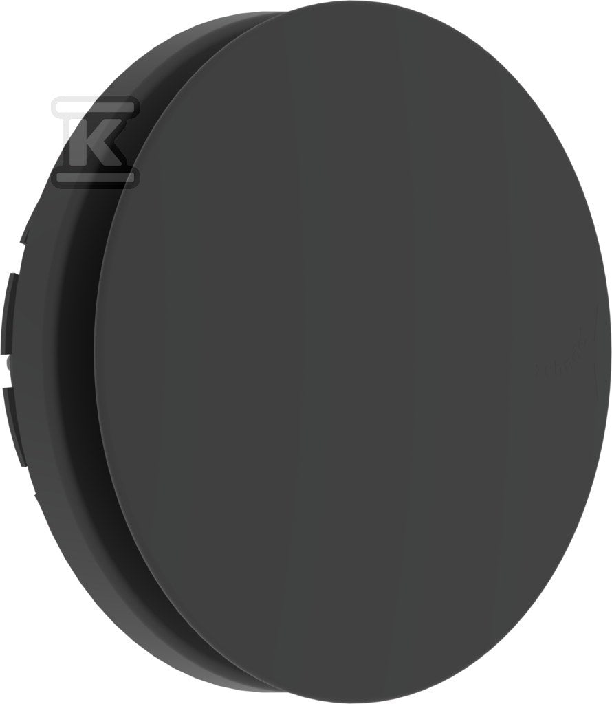 CYK977