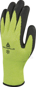 DAG448