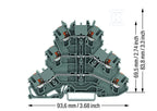 DLG781