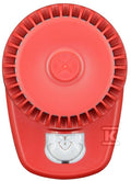 CXX273