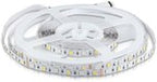Taśma LED V-TAC COB 280LED 24V 10W/m VT-COB 4000K 800lm