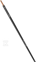 CEL377