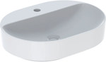 Umywalka Variform stawiana na blat, eliptyczna, B50 cm, H15.8 cm, T40 cm, z przelewem, z otworem na baterię, KeraTect