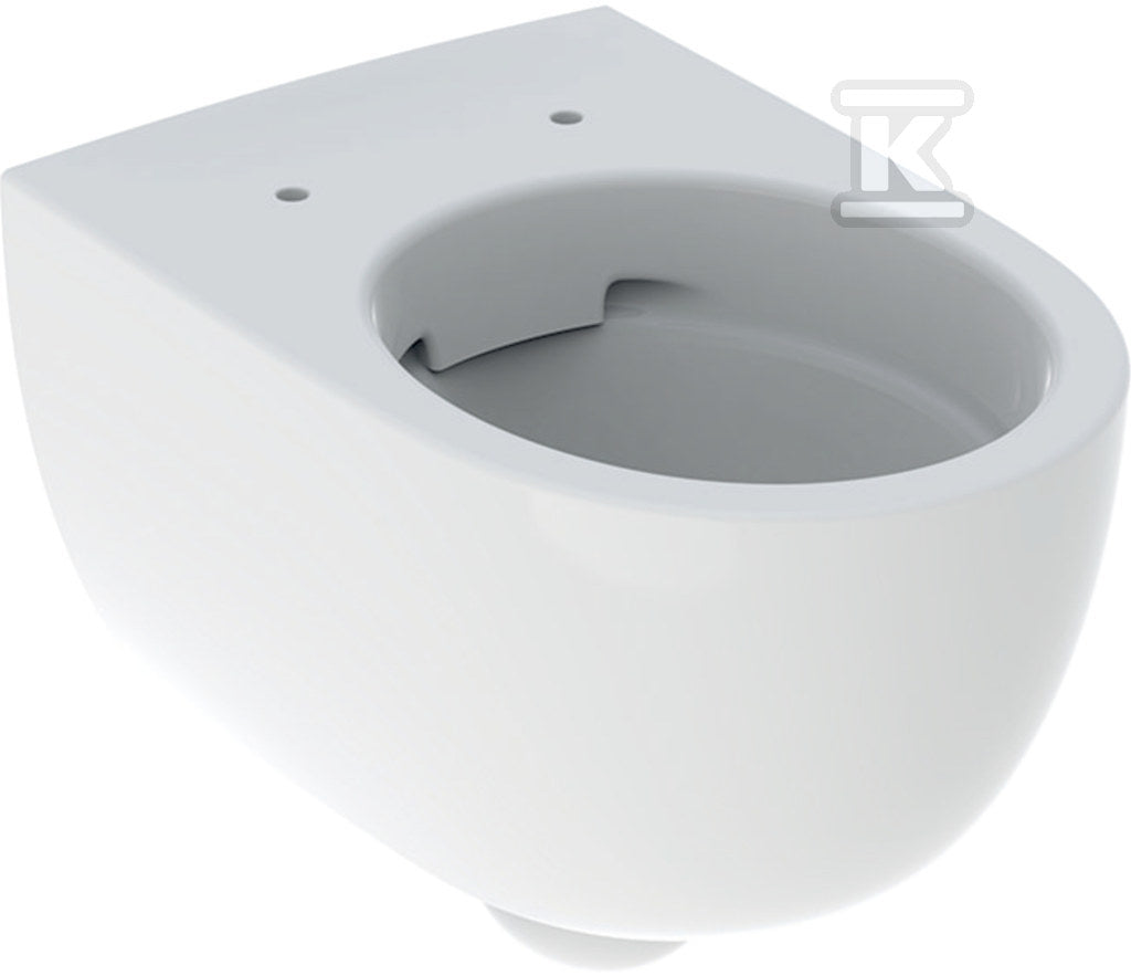 Miska wisząca WC Selnova, Lejowa, B35.5 cm, H37 cm, T53 cm, podwyższona, ukryte mocowania, Rimfree
