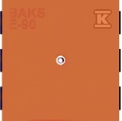 COE923