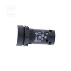 HEK595