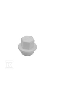 Zaślepka GZ 20x1/2" WT Wavin PPR