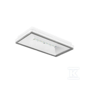 Oprawa awaryjna dwufunkcyjna TM.ONTEC S M1 180 M AT IP65 biała
