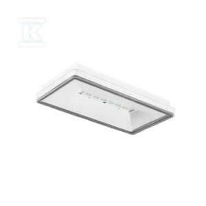 Oprawa awaryjna dwufunkcyjna TM.ONTEC S M1 180 M ST IP65 biała