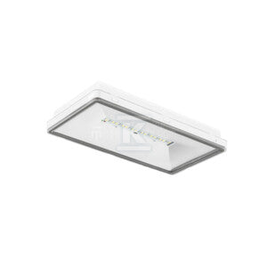 Oprawa awaryjna dwufunkcyjna TM.ONTEC S M2 102 M AT COLD IP65 biała