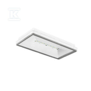 Oprawa awaryjna dwufunkcyjna TM.ONTEC S M2 302 M AT IP65 biała