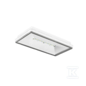 Oprawa awaryjna dwufunkcyjna TM.ONTEC S M2 302 M ST IP65 biała
