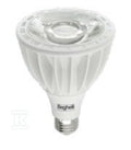 Lampa żarówka LED ECO PAR30 LED 29W 230V E27 3K