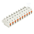 Gniazdo 1-przewodowe, przycisk, Push-in CAGE CLAMP®, 2,5 mm2, raster 7,5 mm, 10-biegunowe 100% ochrona przed błędnym połączeniem, 2,50 mm2, jasnoszary