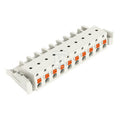 Gniazdo 1-przewodowe, przycisk, Push-in CAGE CLAMP®, 2,5 mm2, raster 7,5 mm, 10-biegunowe 100% ochrona przed błędnym połączeniem, boczne zaczepy ryglujące, 2,50 mm2, jasnoszary