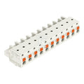 Gniazdo 1-przewodowe, przycisk, Push-in CAGE CLAMP®, 2,5 mm2, raster 7,5 mm, 11-biegunowe 100% ochrona przed błędnym połączeniem, stopki zatrzaskowe, 2,50 mm2, jasnoszary