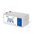 Akumulator LiFePO4 25,6V 200 Ah (200A) + BMS
