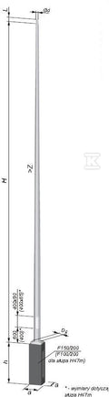 DLR974