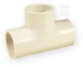 HAY779