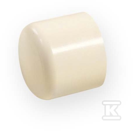 Zaślepka KW PVC-C 1"