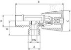 HAN593