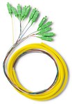Pigtail światłowodowy 12x SC/APC Singlemode G652D 2m