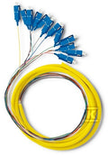 CLH354