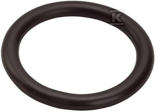 Pierścień giętki Hansgrohe (podkładka) 48x7,25 mm chrom 98003000