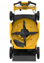 DFJ099