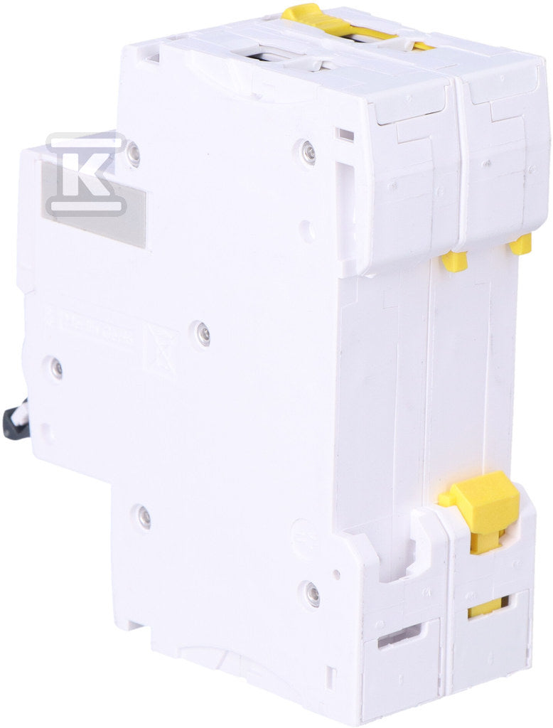 Wyłącznik nadprądowy iC60N-C6-2 C 6A 2-biegunowy