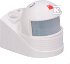 CPE491