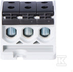 CXR443