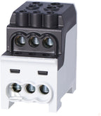 CXR511