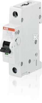 Wyłącznik nadmiarowo-prądowy, 1P, charakterystyka C, 63A, 6kA, AC | S201-C63