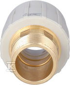 HAL281