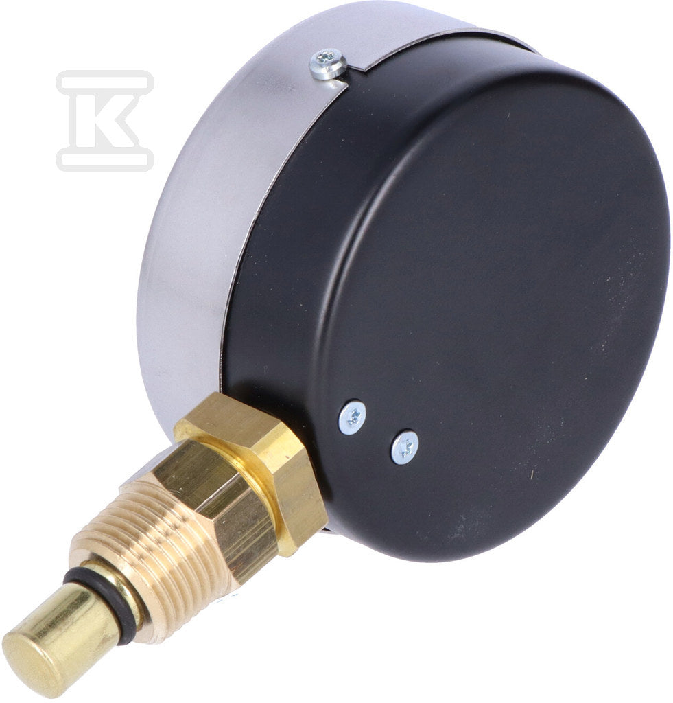 Termomanometr WP80R R1/2 0,6 MPa/120 ST.C