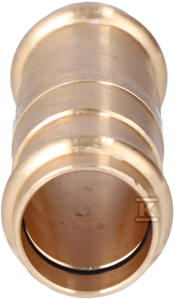 HBP246