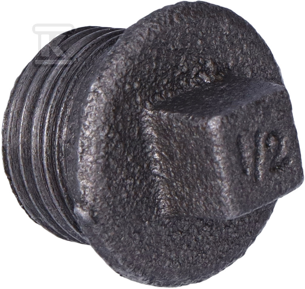 HBV538