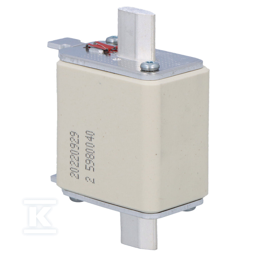 Wkładka topikowa przemysłowa szybka NH00/WT-00 gF 100A/500V