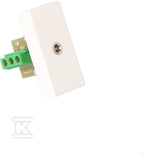 Płytka K45/2 gniazda mini-jack 22,5x45mm + wkład, zaciski śrubowe, biały
