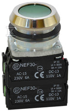 Przycisk NEF30-K2X2Y zielony W0-NEF30-K 2X2Y Z