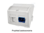 Adapter 45x45 2xRJ45 (wypukły kątowy) ALANTEC